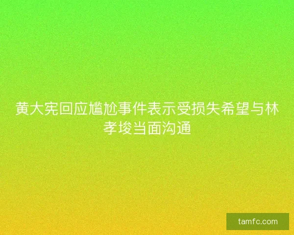 黄大宪回应尴尬事件表示受损失希望与林孝埈当面沟通